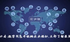 2025必看：数字钱包开放地区大揭秘，