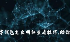 立即了解数字钱包支出明细查看技巧，