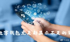 2025必看：数字钱包充足却显示不足的