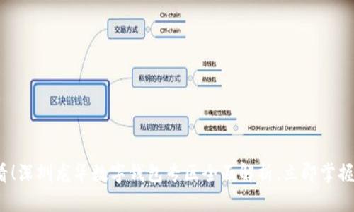 2025必看!深圳龙华数字钱包专区全面解析,立即掌握最新动态