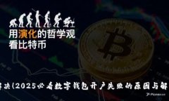 立即解决！2025必看数字钱包开户失败