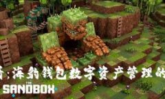 2025必看：海豹钱包数字资产管理的终