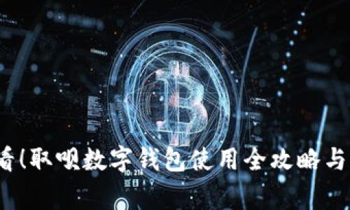 2025必看!取呗数字钱包使用全攻略与注意事项