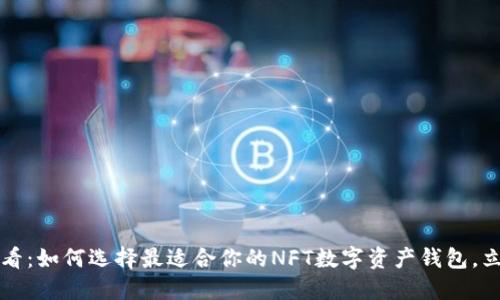 2025必看:如何选择最适合你的NFT数字资产钱包,立即行动!