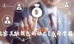 如何在TPWallet中观察其他钱包的动态？