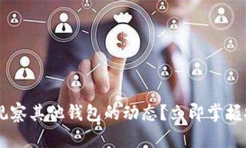 如何在TPWallet中观察其他钱包的动态？立即掌握安全技巧与实用方法