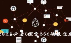 TPWallet: 2025必看！探索BSC的最佳加密钱