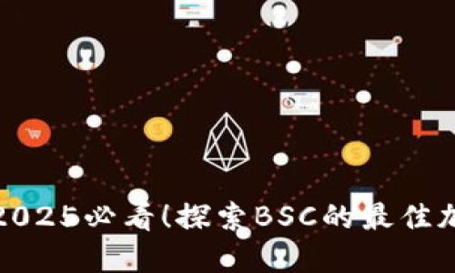 TPWallet: 2025必看！探索BSC的最佳加密钱包选择