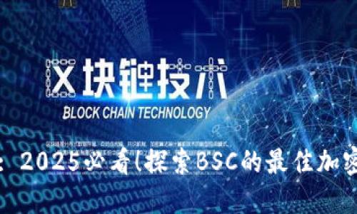 TPWallet: 2025必看！探索BSC的最佳加密钱包选择