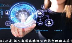 2025必看：深入解析区块链公共钱包地