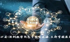 2025必看！深圳数字钱包申请全攻略，