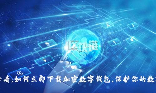 2025必看：如何立即下载加密数字钱包，保护你的数字资产！