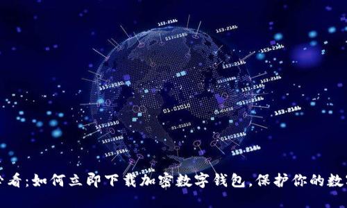 2025必看：如何立即下载加密数字钱包，保护你的数字资产！