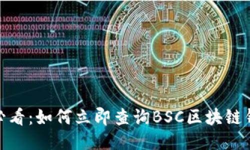  2025必看：如何立即查询BSC区块链钱包地址