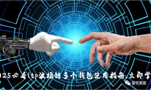 2025必看！tp波场链多个钱包使用指南，立即掌握