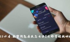  2025必看：数字钱包丢失怎么办？立即