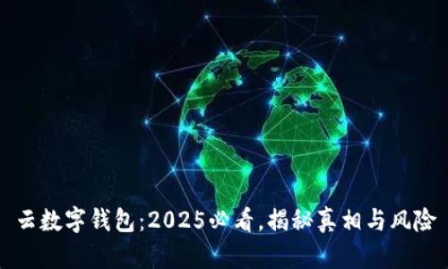 云数字钱包：2025必看，揭秘真相与风险