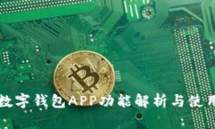 2025必看：建行数字钱包APP功能解析与