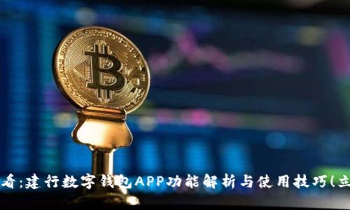 2025必看：建行数字钱包APP功能解析与使用技巧！立即掌握！