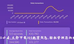 2025必看：立即下载iOS数字钱包，轻松
