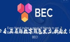 2025必看：亚马逊数字钱包发力，掀起