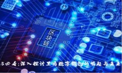 2025必看：深入探讨黑马数字钱包的崛