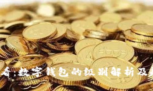 2025必看:数字钱包的级别解析及趋势分析