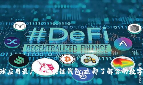 2025必看:全球应用最广的区块链钱包,立即了解你的数字资产安全策略