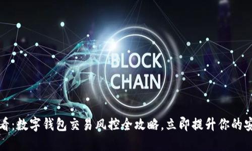 2025必看:数字钱包交易风控全攻略,立即提升你的安全意识!
