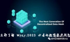 立即了解 Wpay：2025 必看的数字资产钱