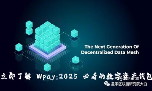 立即了解 Wpay:2025 必看的数字资产钱包