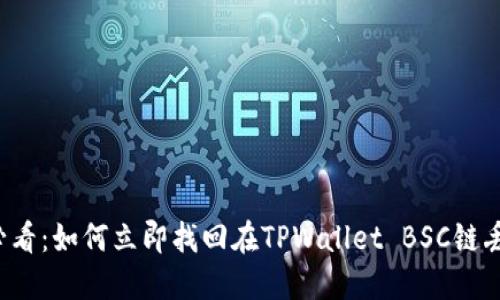 2025必看：如何立即找回在TPWallet BSC链丢失的币