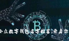 2025必看：独特小众数字钱包名字推荐