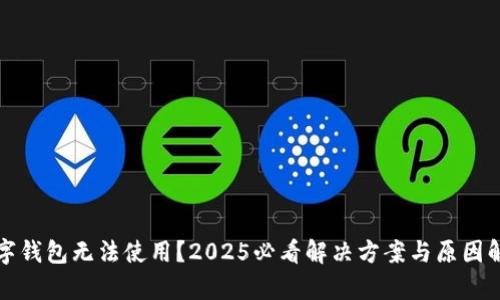 数字钱包无法使用?2025必看解决方案与原因解析