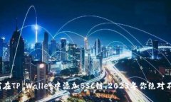 立即了解：如何在TP Wallet中添加BSC链，