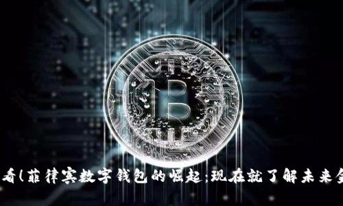 2025必看!菲律宾数字钱包的崛起:现在就了解未来金融趋势