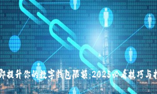 立即提升你的数字钱包限额：2025必看技巧与指南