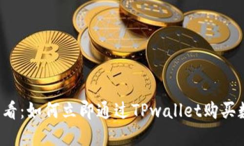 2025必看:如何立即通过TPwallet购买数字货币