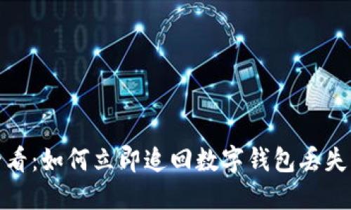 2025必看：如何立即追回数字钱包丢失的资金？