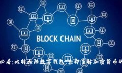 2025必看：比特大陆数字钱包，立即了