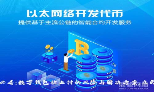 2025必看:数字钱包被止付的风险与解决方案,立即了解!