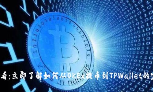 2025必看:立即了解如何从OKEx提币到TPWallet的完整指南
