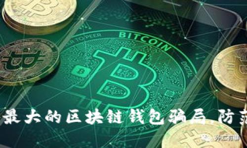 2025必看:揭秘最大的区块链钱包骗局,防范方法一网打尽!