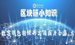 2024年数字钱包转账的高清图片合集，