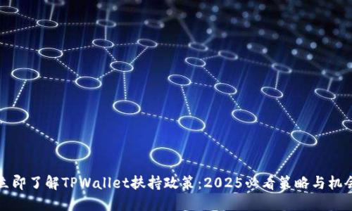 立即了解TPWallet扶持政策:2025必看策略与机会