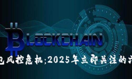 数字货币钱包风控危机:2025年立即关注的六大应对策略