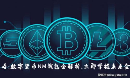 2025必看:数字货币NM钱包全解析,立即掌握未来金融趋势!