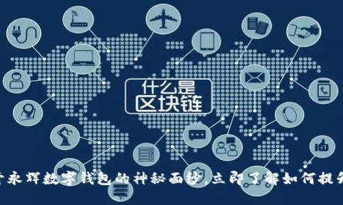 2025必看:揭开永辉数字钱包的神秘面纱,立即了解如何提升你的支付体验
