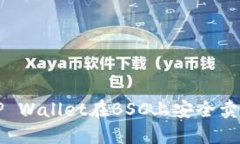 2025必看：如何使用TP Wallet在BSC上安全