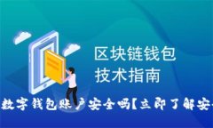 2025必看：数字钱包账户安全吗？立即